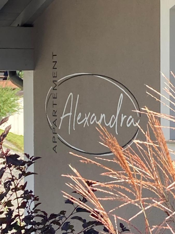 Appartement Alexandra Neukirchen am Großvenediger エクステリア 写真