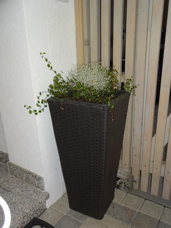 Appartement Alexandra Neukirchen am Großvenediger 部屋 写真